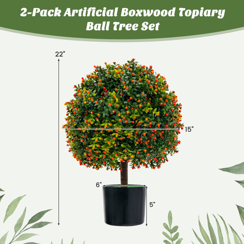 Boxwood Topiary Ball Duo with Orange Fruit Decor