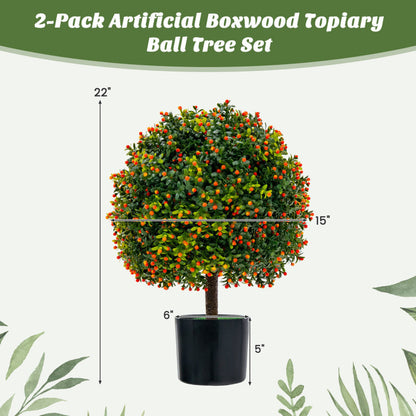 Boxwood Topiary Ball Duo with Orange Fruit Decor