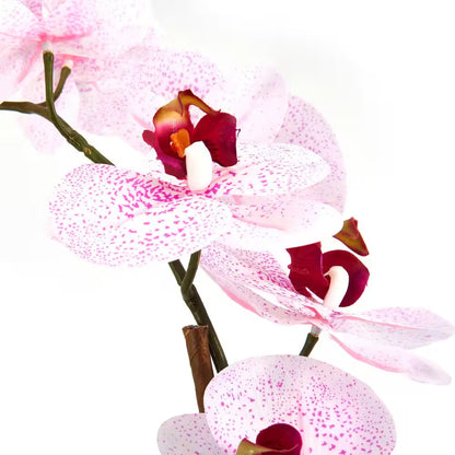 Elegant Real Touch Phalaenopsis Orchid – 21" Pink Faux Flower in Pot | Lifelike Artificial Orchid Plant for Home Decor