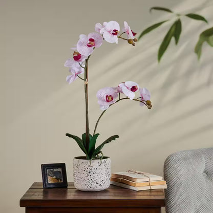 Elegant Real Touch Phalaenopsis Orchid – 21" Pink Faux Flower in Pot | Lifelike Artificial Orchid Plant for Home Decor