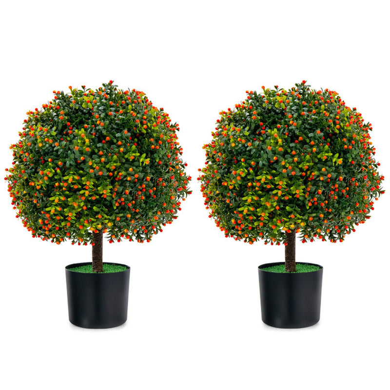 Boxwood Topiary Ball Duo with Orange Fruit Decor