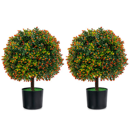 Boxwood Topiary Ball Duo with Orange Fruit Decor
