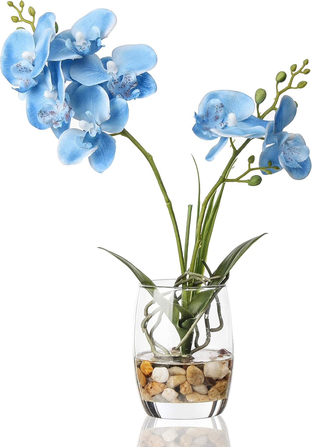 14.5-Inch Glass Vase with Artificial Phalaenopsis Orchid for Home and Office Décor, Table Centerpiece and Room Decoration (Blue Orchid)