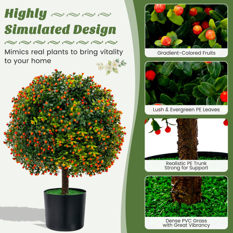 Boxwood Topiary Ball Duo with Orange Fruit Decor