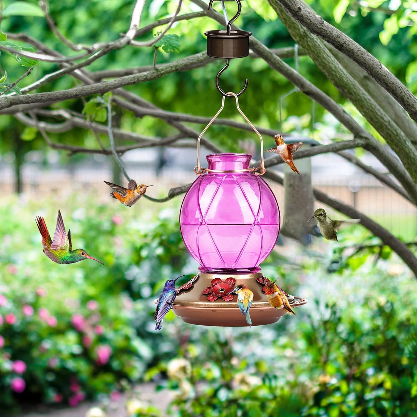 Glass Hummingbird Feeder - 20 Ounce Outdoor Feeder with Netted Texture Ball Shape Bottle in Lavender - Ideal Gift for Any Occasion