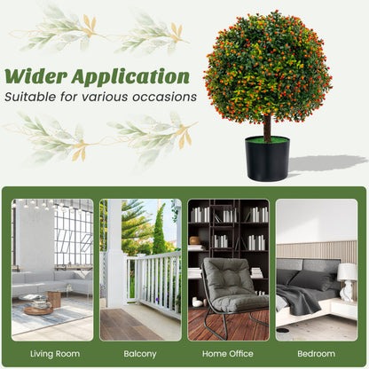 Boxwood Topiary Ball Duo with Orange Fruit Decor